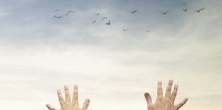 versículos sobre a liberdade cristã