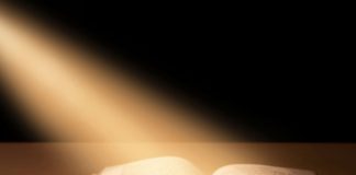 Inspiração da Escritura devocional