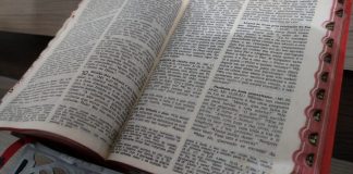 Versículos da Bíblia Curtos, versículos sobre Barnabé, versículos sobre ser tolo