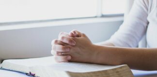 devocional, Palavra Para Culto de Campanha, versículos sobre ação de graças, Versículos que falam sobre oração, versículos sobre perdão e arrependimento, versículos sobre jejum e oração versículos sobre ser fiel, versículos para aumentar a fé