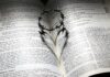 amor ágape devocional
