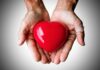O bom samaritano amor incondicional, devocional / devocional - Reprodução Pixabay
