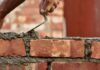 versículos sobre construir